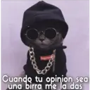 Supreme
Cuando tu opinion, sea
una birra me la das