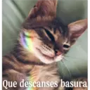 Que descanses basura