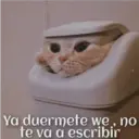 Ya duermete we, no
te va a escribir