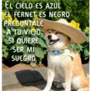 EL CIELO ES AZUL
EL FERNET
PREGUNTALE
A TU VIEJO
SI QUIERE
SER MI
SUEGRO
ES NEGRO