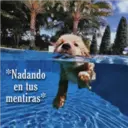 *Nadando
en tus
mentiras*