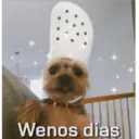 Wenos dias