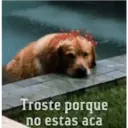 Troste porque
no estas aca