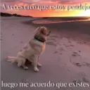 A veces creo que estoy pendejo
luego me acuerdo que existes