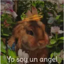 Yo soy un angel