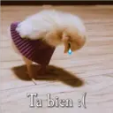 Ta bien :(