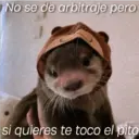 No se de arbitraje pero
si quieres te toco el pito