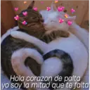 3
Hola corazon de palta
yo soy la mitad que te falta