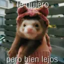 Te quiero
pero bien lejos