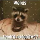 Wenas
tendra nudecitos?