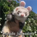 *mirada juzgadora*