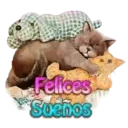 Buenas Noches 2 Movi 12