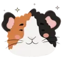 Coelhos e porquinhos-da-índia 3