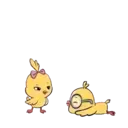 Cute Chickie 12