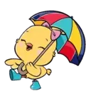 Cute Chickie 19
