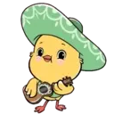 Cute Chickie 15