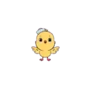 Cute Chickie 2 1