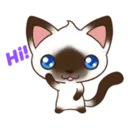 ¡!H