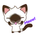 Meow!