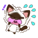 ☆C☆  1 YUKI 13