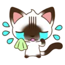 ☆C☆  1 YUKI 3
