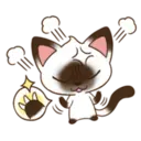 ☆C☆  1 YUKI 16