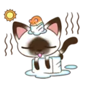 ☆C☆  1 YUKI 12