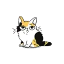 Cutiee Cat Meow Box 19