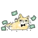 Cutiee Cat Meow Box 6