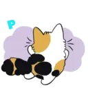 Cutiee Cat Meow Box 11