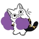 Cutiee Cat Meow Box 4