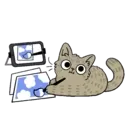 Cutiee Cat Meow Box 2