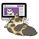 Cutiee Cat Meow Box 7