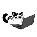 Cutiee Cat Meow Box 10