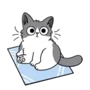Cutiee Cat Meow Box 23