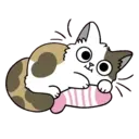 Cutiee Cat Meow Box 9