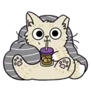 Cutiee Cat Meow Box 17