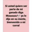 frases variadas 21
