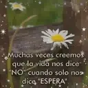 frases variadas 10