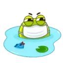 Frog 3