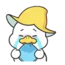 Happy Mango Duck 20