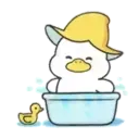 Happy Mango Duck 7
