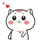Miau     MOV 19