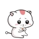 Miau     MOV 8