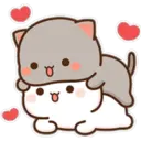 Peach Cat  ️ 19