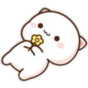 Peach Cat  ️ 16