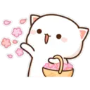 Peach Cat  ️ 13