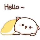 Peach Cat  ️ 18