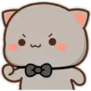 Peach Cat  ️ 15