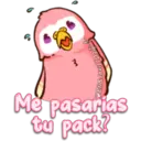 Pink Parrot 2 13
